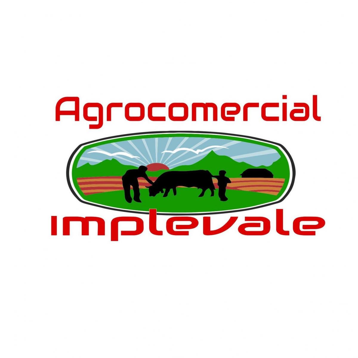 AGROCOMERCIAL IMPLEVALE